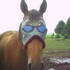 Рома Конов, 03.02.1995, Санкт-Петербург