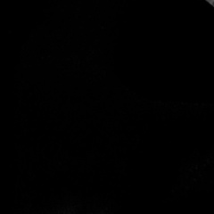 Александра Стерликова, Куртамыш