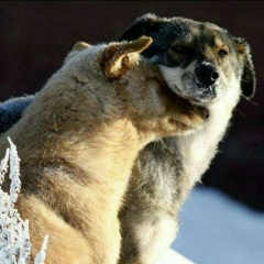 Юрий Юлин, 17.01.1980, Москва