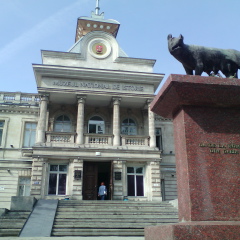 Настя Тайнчук, 09.11.2003, Бельцы