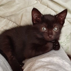 Татьяна Евсеева, 06.02, Санкт-Петербург