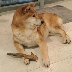 Наталия Герасимова, 28.03.1971, Санкт-Петербург