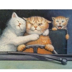 Вадим Панченко, 30.08.1986, Днепр (Днепропетровск)