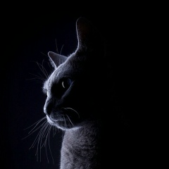 Ирина Юровских, 02.05, Нягань