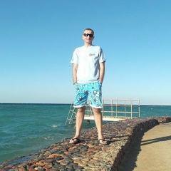 Даур Гамисония, Москва