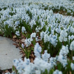 Светлана Захарова, 16.02