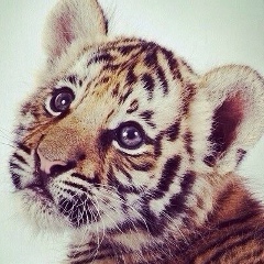 Софья Андреевна, 23.07, Тюмень