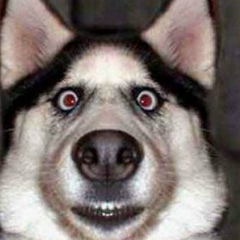 Руслан Акберов, 13.09.1988, Казань