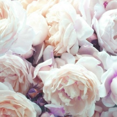 Мираславна Васильева, 30.08.1986, Белгород