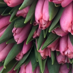 Эльмира Хабибуллина, 16.09, Москва