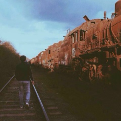 Андрюша Андрюша, Ростов-на-Дону