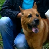 Михаил ____, 24.03, Москва