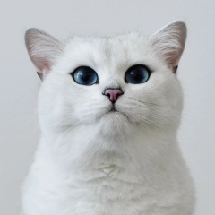 Наталья Пиотрович, 19.05