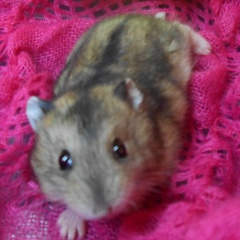 Евгения Стяглик, 23.09.1979, Харьков