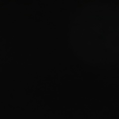 Полина Ильина, Санкт-Петербург