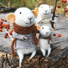 Евгения Бутя, 25.06, Москва