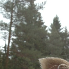 Александр Вер, Санкт-Петербург