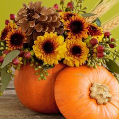 Мария Пешкова, Санкт-Петербург