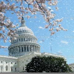 Анюта Милецкая, 25.04, Павлодар