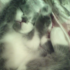 Ольга Даниленко, 14.08