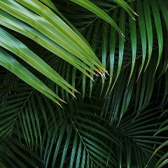 Анна Федькина, 07.02