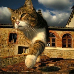 Виктор Головков, 11.05, Москва