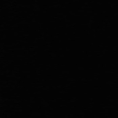 Вовчик Шишкин, 30.01, Моршанск