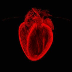 Сабыржан Найманов, 03.04.1988, Астана