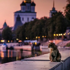 Дмитрий Полищук, 09.01, Псков