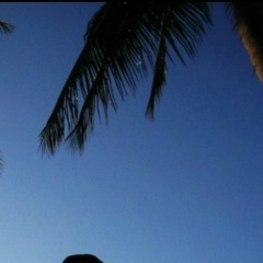 Андрей Карманов, Санкт-Петербург