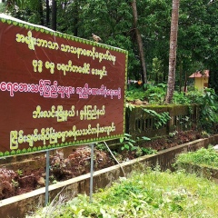 Aung-Myat Kyaw-Thu, 31.10.1985