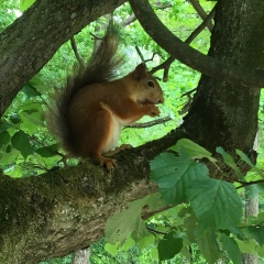 Людмила Дергаева