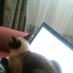 Евгений Джон, 03.03, Москва