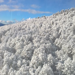 Алексей Лобетов, 29.10.1986, Санкт-Петербург