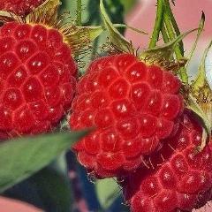 Irina Nim, 04.12.2000, Алматы