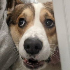 Виталий Суворов, 07.08.1987, Москва