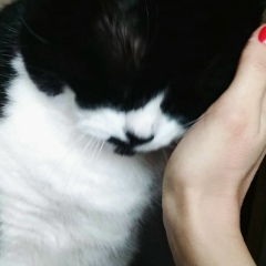 Катя Риман, 21.06