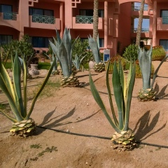 Виталий Таптухин, 26.02, Гомель