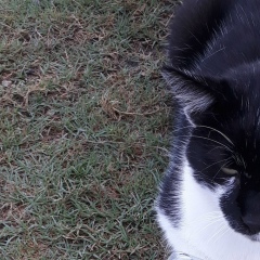 Катерина Кабаджа, 02.12