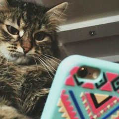 Дима Стратий, 08.01, Севастополь