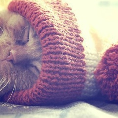 Михаил Кот, 21.11