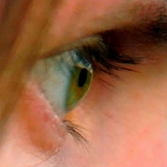 Станіслав Котляр, Новокиевка