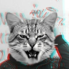 Андрюха Котов, Луцк