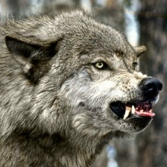 Асылбек Жасузахов, 18.11.1978, Алматы