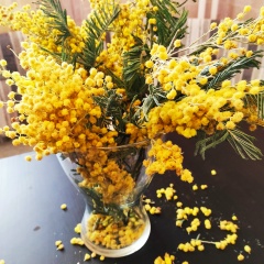 Natalya Lavrinenko, Москва