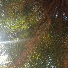 Надежда Салеева, 09.12, Санкт-Петербург