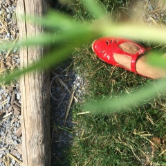 Полина Соснова, 14.09.1989, Москва