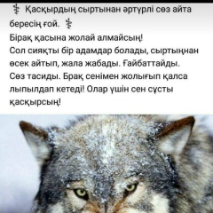 Пшит Сандитерива, 08.12.1990, Актау