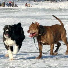 Сергей Васюрин, 23.10.1983, Санкт-Петербург