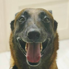 Сергей Бурлаков, 05.03.1987